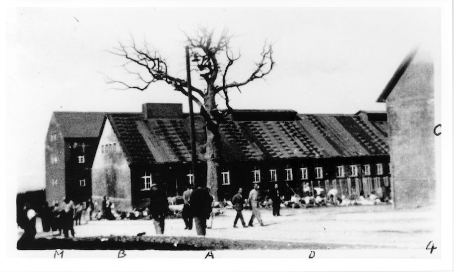 Häftlinge laufen auf der Lagerstraße. Blick auf die Goethe-Eiche. Im Hintergrund die Wäscherei, dahinter das Kammergebäude. Ganz rechts im Vordergrund das Gebäude der Häftlingsküche, Juni 1944, Foto: Georges Angéli. Quelle und Lizenz: Sammlung Gedenkstätte Buchenwald, Signatur 007-01.00