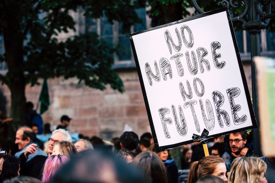 NO NATURE - NO FUTURE. Global climate change strike - No Planet B - Global Climate Strike 09-20-2019, Foto: Markus Spiske, Quelle: Unsplash.