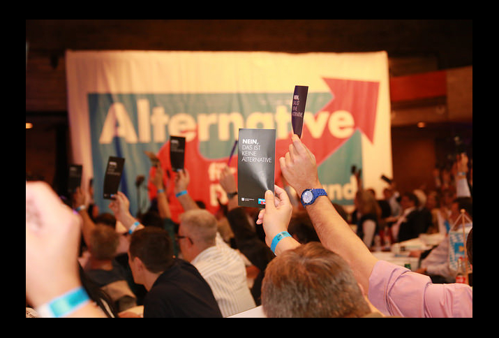 AfD-Abstimmung (Gegenstimmen). Aufgenommen am 19. Oktober 2014 von Metropolico.org (flickr/CC BY-SA 2.0)