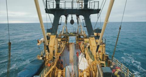 Das Deck "Nida" aus dem Film "Vom Traum, unsinkbar zu sein"