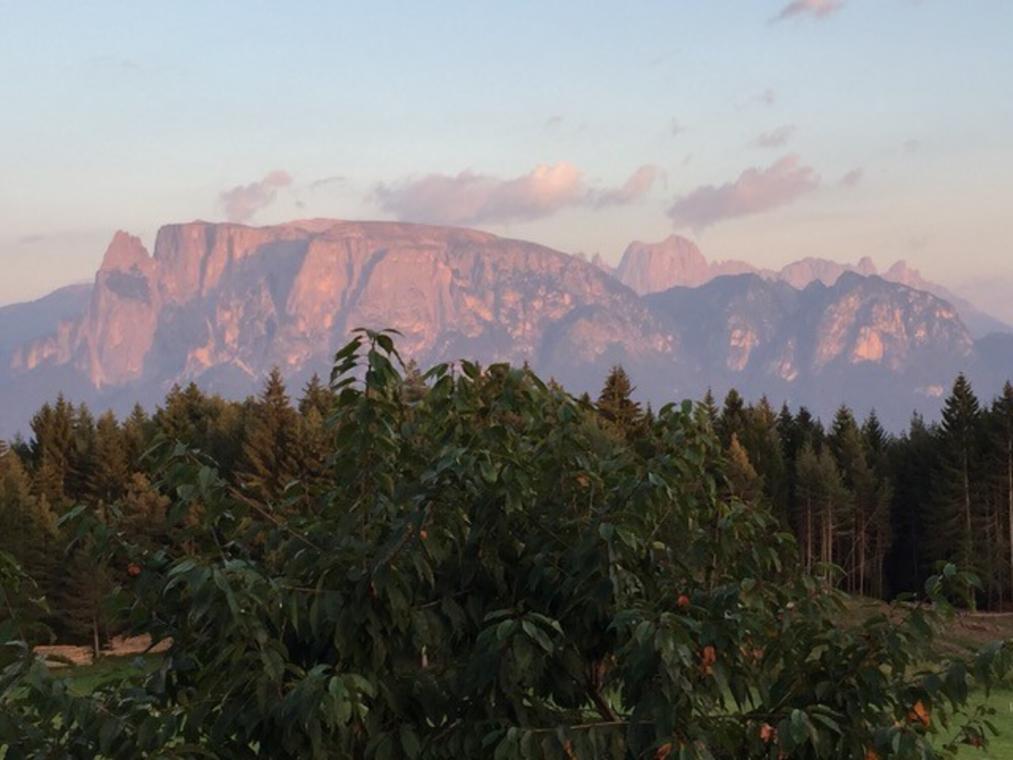 Blick auf die Dolomiten, genauer den Schlern (italienisch Sciliar, ladinisch Sciliër), vom Ritten aus (2016). Eigene Aufnahme.