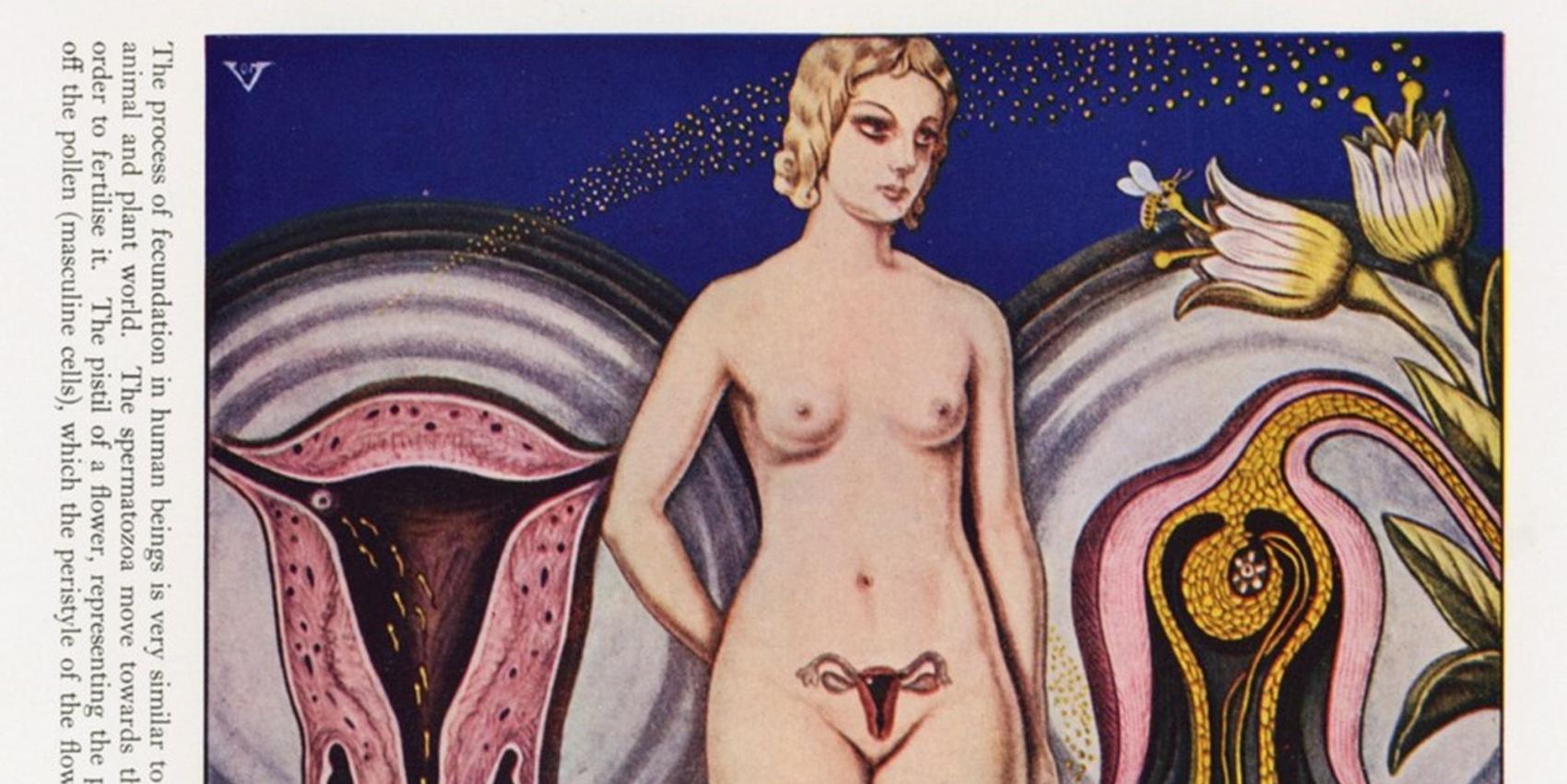 Illustration der Befruchtung bei Menschen, Tieren und Pflanzen