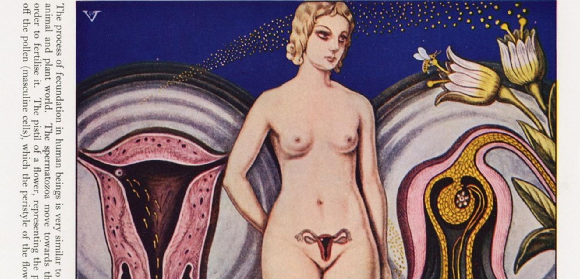 Illustration der Befruchtung bei Menschen, Tieren und Pflanzen
