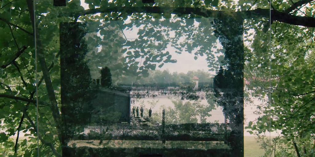 lp_wegmann_202106_00_0.jpeg