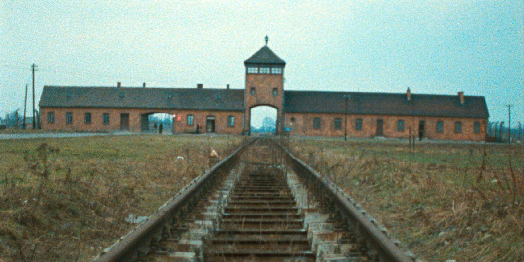 lp_wegmann_202502_00.jpg 