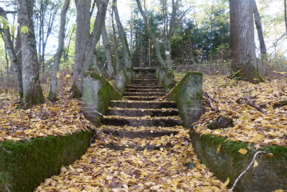 Eine mit Blättern bedeckte Treppe zu einem Denkmal aus dem Gut Waldfrieden