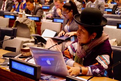 Maria Eugenia Choque Quispe, a member of the UN Permanent Forum on Indigenous Issues, speaks at the body's 2015 session